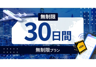 ベトナム 無制限 / 30日間